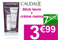 2016 01 caudalie stick